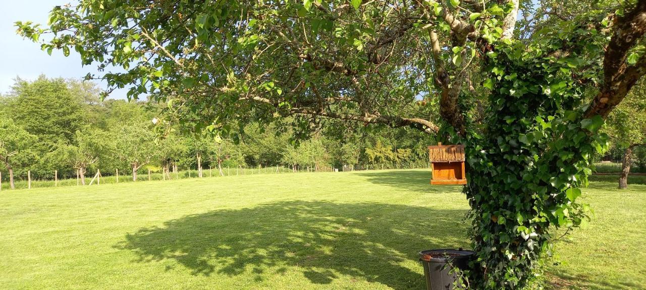 Gites Le Clos Du Verger Maurens  Εξωτερικό φωτογραφία